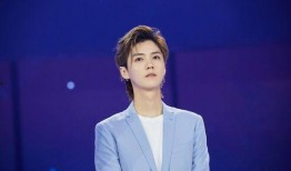 张佳慧爆料男明星视频,真相与争议并存