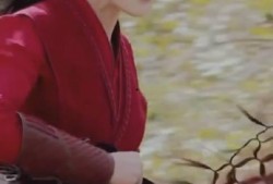 青枫最新爆料视频