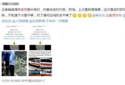 曲靖爆料视频最新,揭秘当地民生热点事件背后的真相